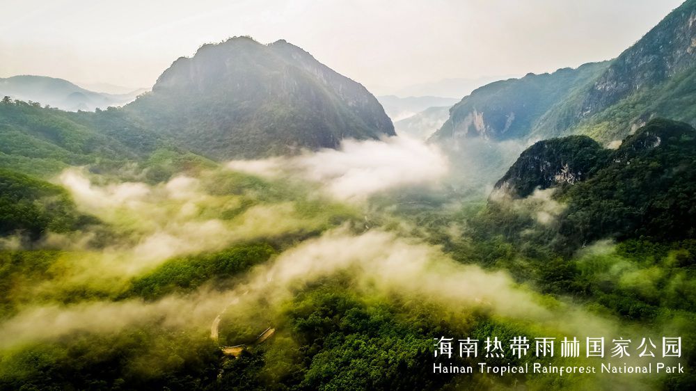 俄贤岭 - 雨林风光 - 海南热带雨林国家公园官网