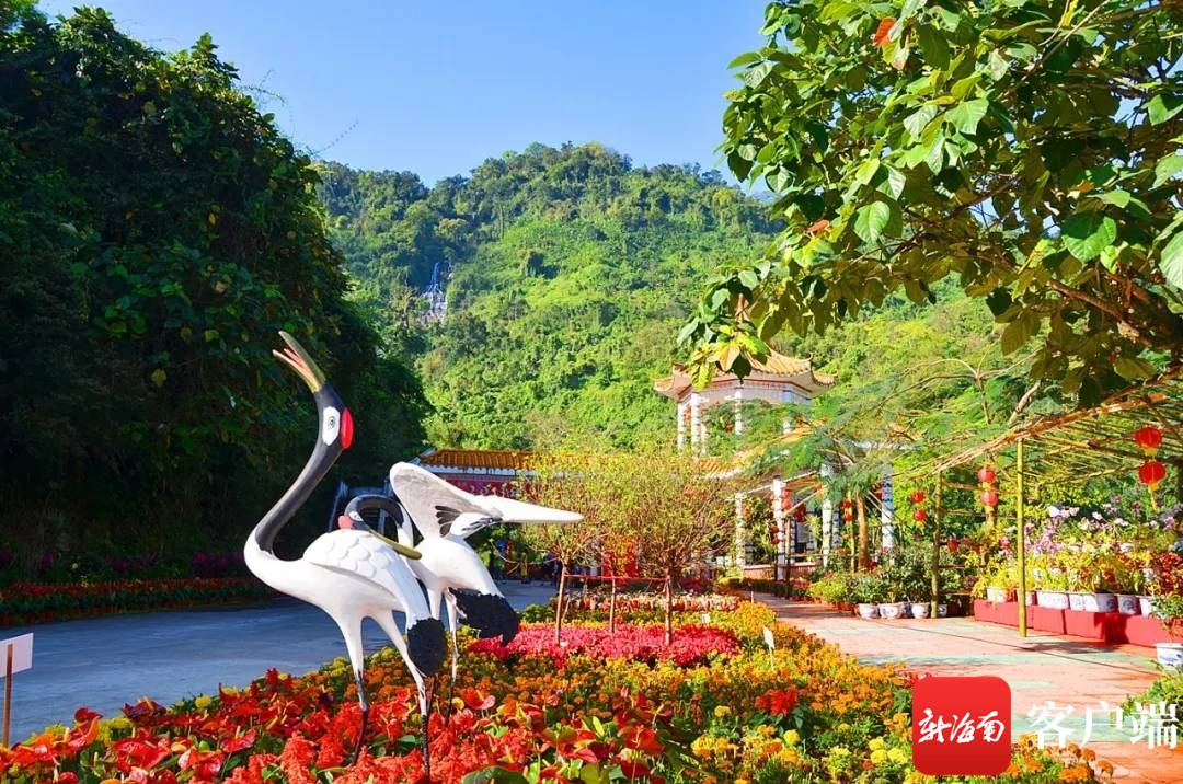 琼中百花岭景区