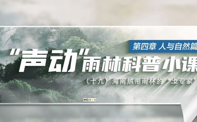 海南热带雨林的“土专家”们