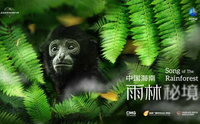《中国海南·雨林秘境》幕后故事：与自然共舞 同生命共鸣