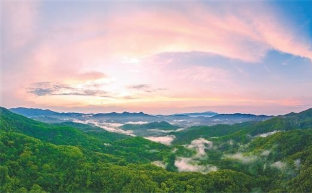 海南热带雨林国家公园4项专项规划通过专家评审