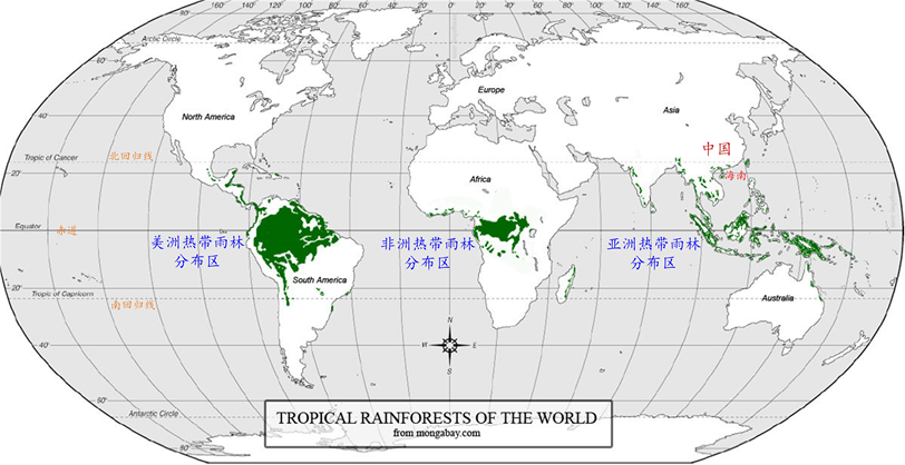 热带雨林的现代分布一般仅局限于赤道南北纬度5°至10°左右的热带