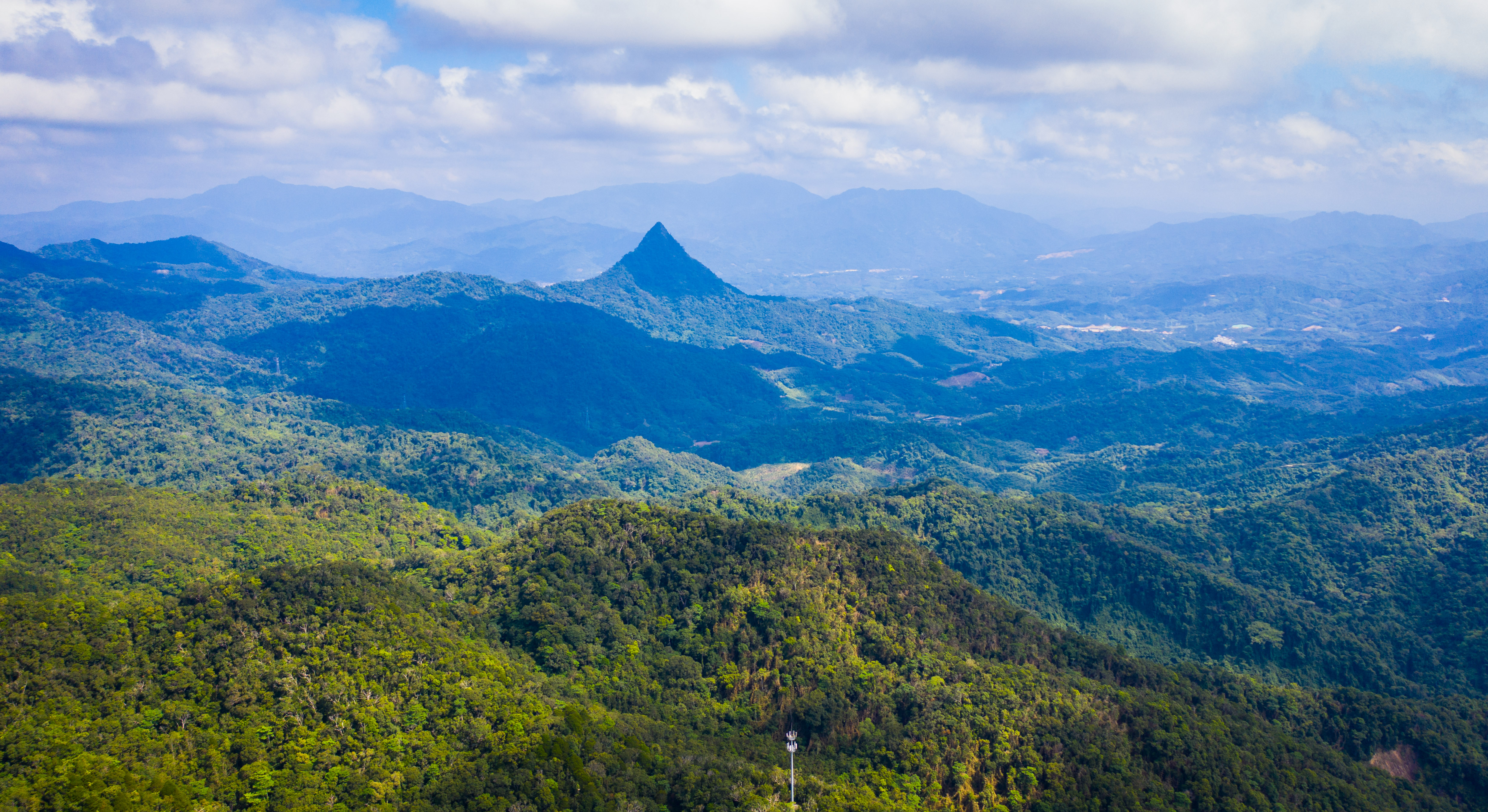 h5游览海南热带雨林国家公园七大林区