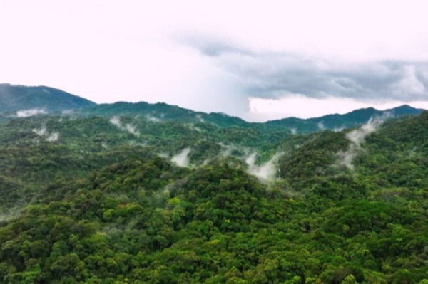 海南热带雨林国家公园入选第二轮国家生态产品价值实现机制试点名单