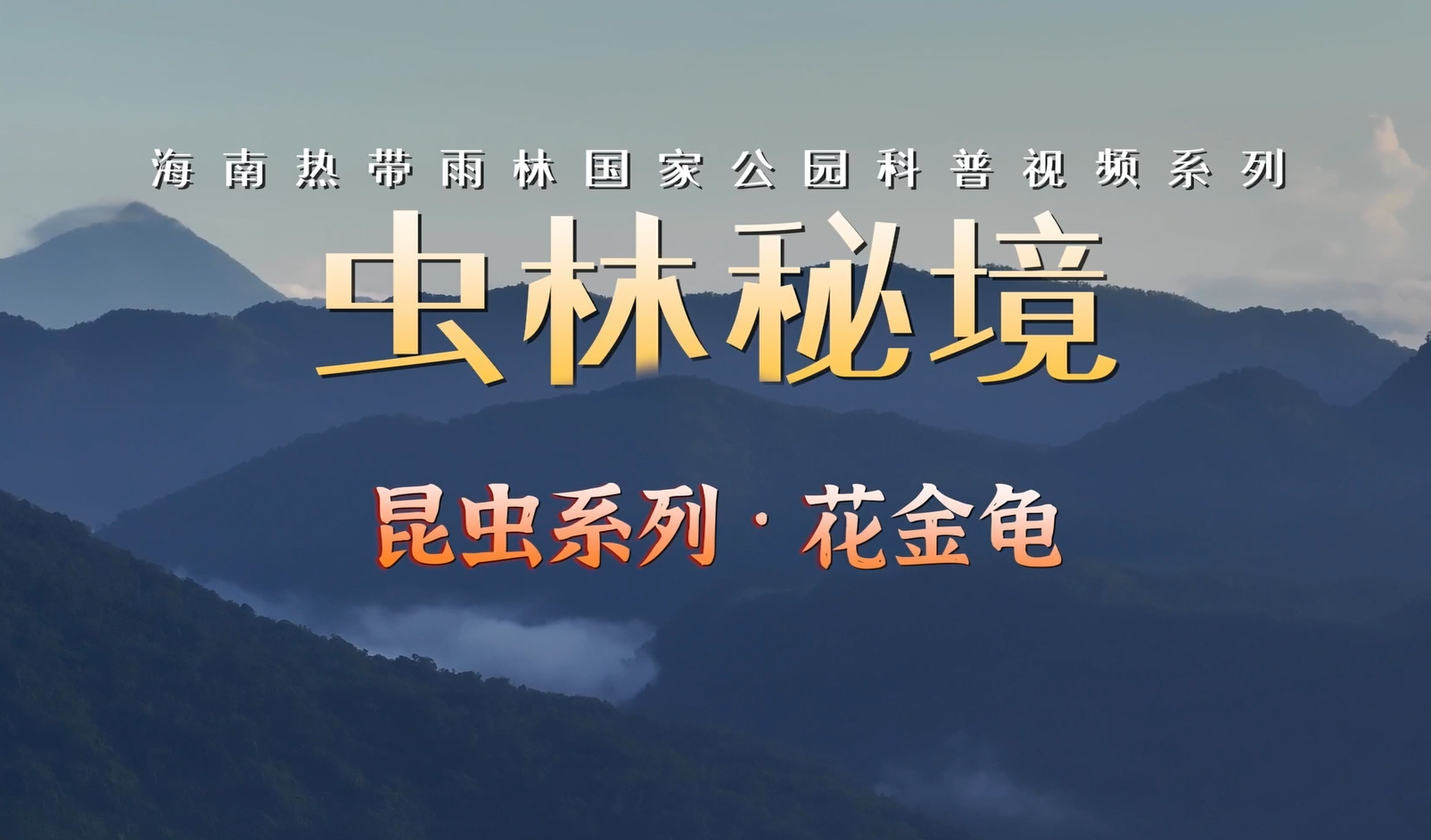 海南热带雨林国家公园科普视频系列｜花金龟