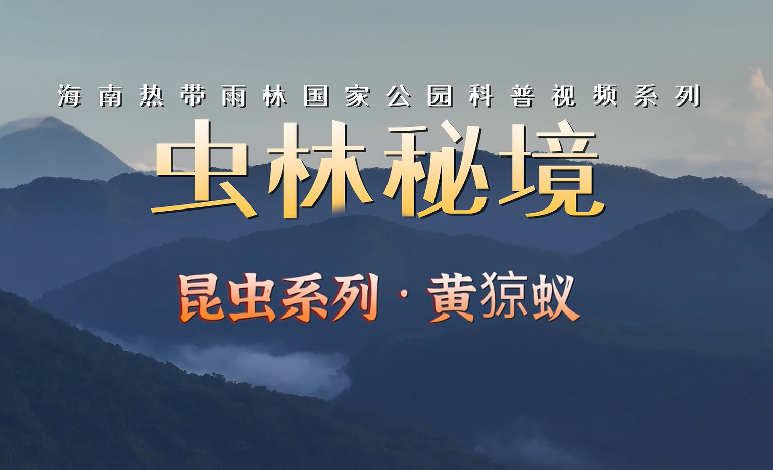 海南热带雨林国家公园科普视频系列｜黄猄蚁